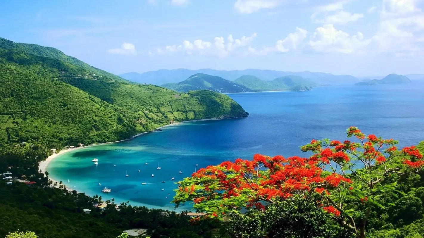 稳定性高精度